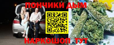 apvp Можга