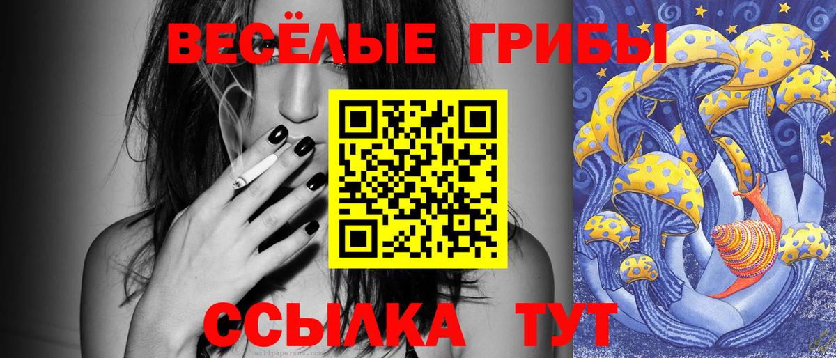 Псилоцибиновые грибы Psilocybine cubensis Тара