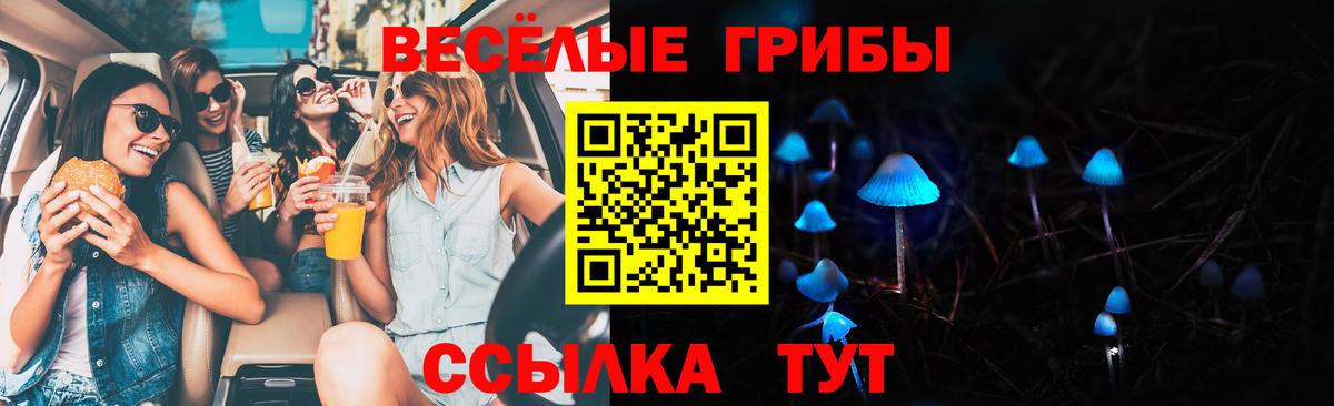 Тара  Галлюциногенные грибы Psilocybe  купить   Вход с VPN 